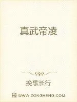 《真武帝凌》小说封面
