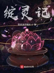 《绽灵记》小说封面