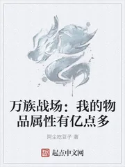 《万族战场：我的物品属性有亿点多》小说封面