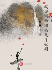 《我安澜依旧无敌于世间》小说封面