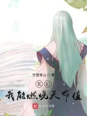 《玄幻：我能燃烧天命值》小说封面