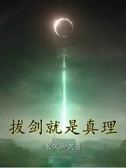 《拔剑就是真理》小说封面
