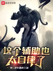 《这个辅助也太自律了!》小说封面