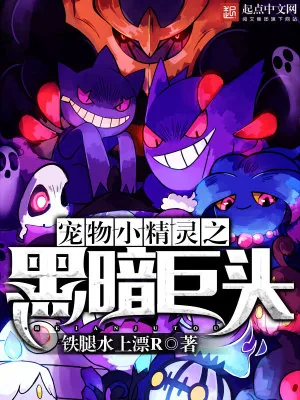 《宠物小精灵之黑暗巨头》小说封面