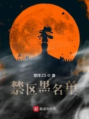 《禁区黑名单》小说封面