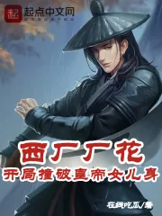 《西厂厂花，开局撞破皇帝女儿身》小说封面