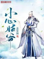 《小心姑爷》小说封面