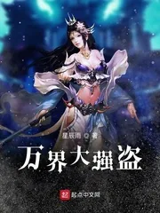 《万界大强盗》小说封面