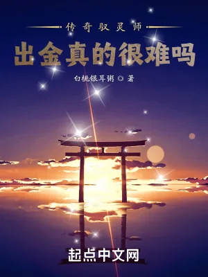 《传奇驭灵师：出金真的很难吗？》小说封面