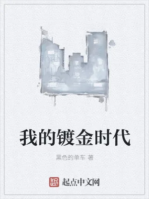《我的镀金时代》小说封面
