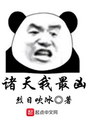 《诸天我最凶》小说封面