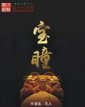 《宝瞳》小说封面