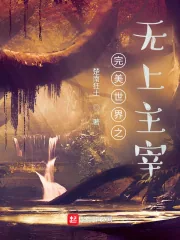 《完美世界之无上主宰》小说封面