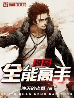 《极品全能高手》小说封面