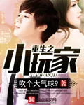 《重生之小玩家》小说封面
