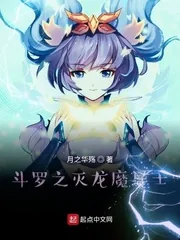 《斗罗之灭龙魔导士》小说封面