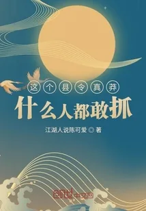 《这个县令真莽，什么人都敢抓》小说封面