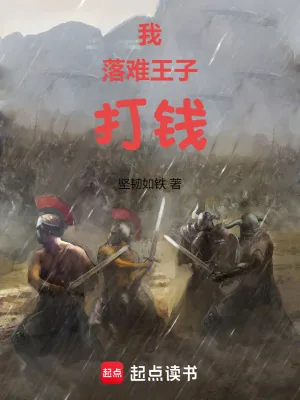 《我，落难王子，打钱》小说封面