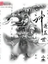 《神通盖世》小说封面