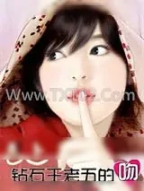 《恋上钻石王老五的吻》小说封面