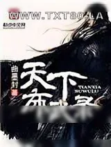 《天下布武录》小说封面