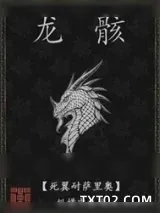 《龙骸》小说封面
