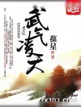 《武气凌天》小说封面