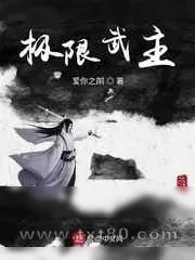 《极限武主》小说封面