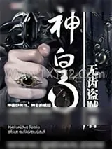 《神皇》小说封面