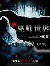 《巫师世界》小说封面