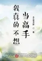 《我真的不想当高手》小说封面