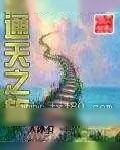 《通天之旅》小说封面