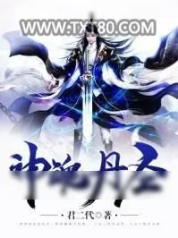 《神魂丹圣》小说封面