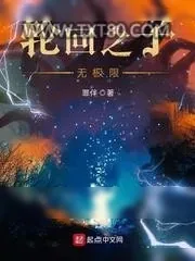 《轮回之子无极限》小说封面
