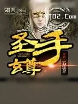 《圣手玄尊》小说封面