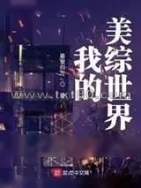 《我的美综世界》小说封面