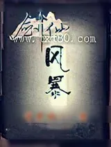 《剑仙风暴》小说封面