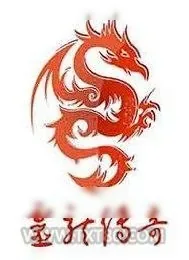 《灵龙传奇》小说封面