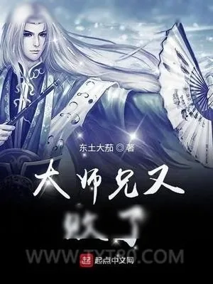 《大师兄又败了》小说封面