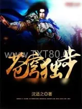《苍穹独步》小说封面