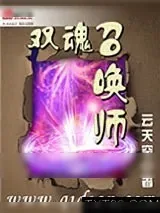 《双魂召唤师》小说封面