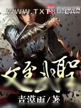 《文至武圣》小说封面