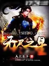 《无尽之星》小说封面