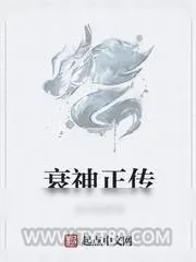 《衰神正传》小说封面