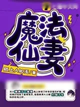 《魔法仙妻》小说封面