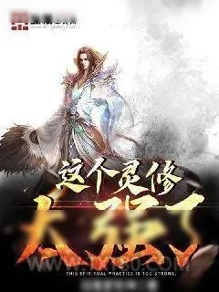 《这个灵修太强了》小说封面
