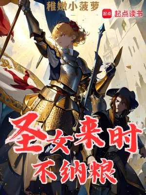 《圣女来时不纳粮》小说封面