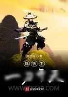 《锦衣卫一刀开天》小说封面