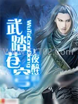 《武踏苍穹》小说封面
