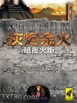 《灰烬余火2：暗夜火炬》小说封面
